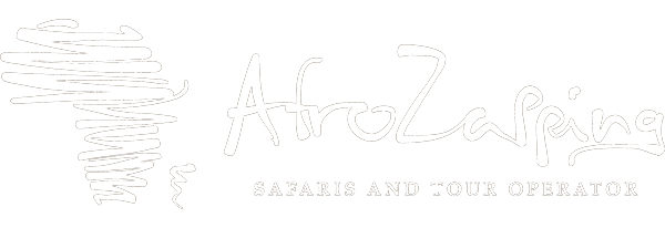 Safari e Tour Operator in Africa